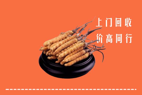 高价求购：湛江吴川市回收散虫草