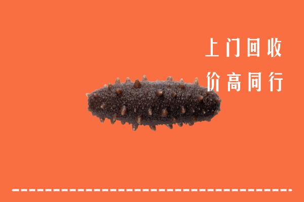 湛江吴川市回收海参